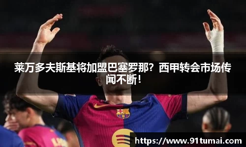 纳米体育注册