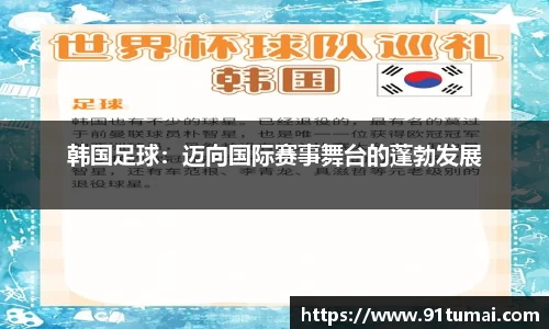 纳米体育网址