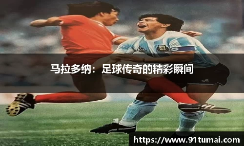 纳米体育官网