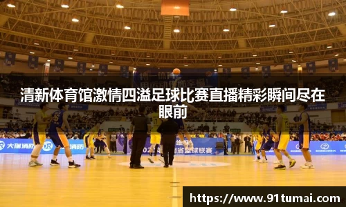 纳米体育网址