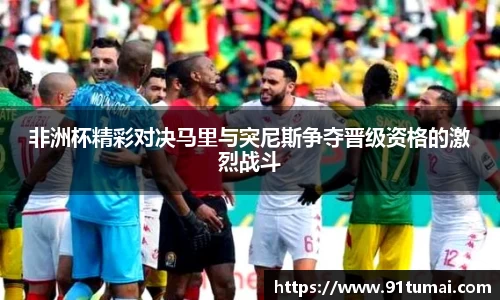 非洲杯精彩对决马里与突尼斯争夺晋级资格的激烈战斗